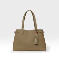 ロドスミニ2の正面（トープ）